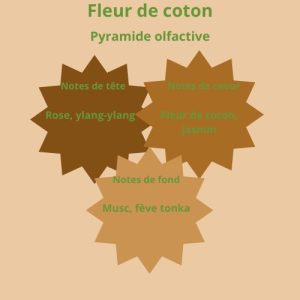 Fleur de coton