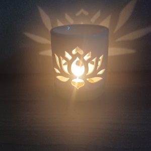 Nénuphar